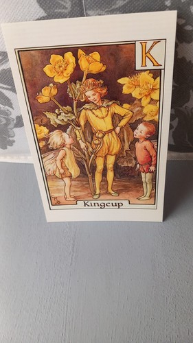 Postcard the kingcup fairy - the,