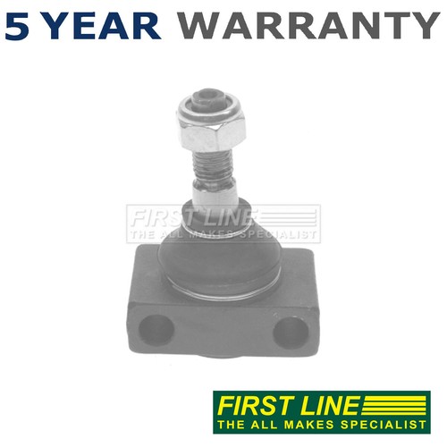 First line front lower - first,
