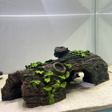Aquarium fish tank ornament - aquarium,