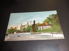 Headingley oak tree - tree,, leeds