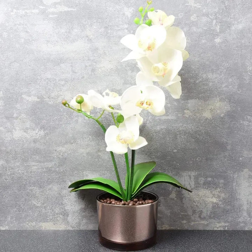 Cream orchid glass pot - glass,