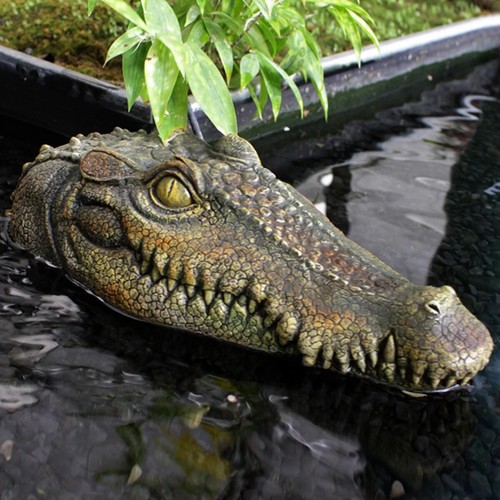 Floating alligator head - floating,