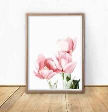 Pink Tulip Flower Photography