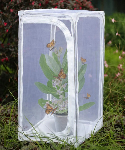 Heavy duty monarch - heavy,