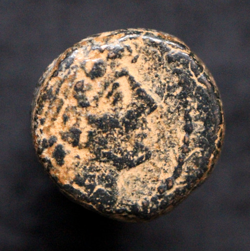 Seleucid antiochus viii eagle - seleucid,