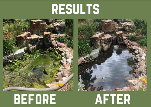 Pond algae treatment blanket - algae,