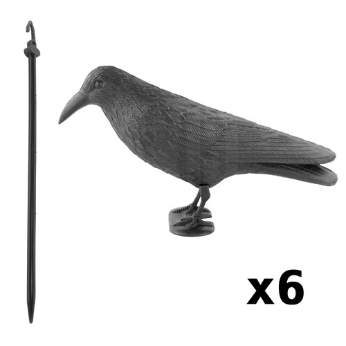 Decoy crow fake bird - fake,