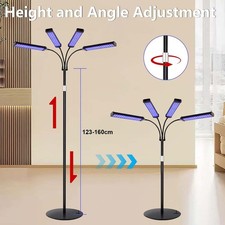 Facial Lamp Tanning Light Sun