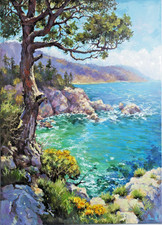 Big Sur Style Coastline