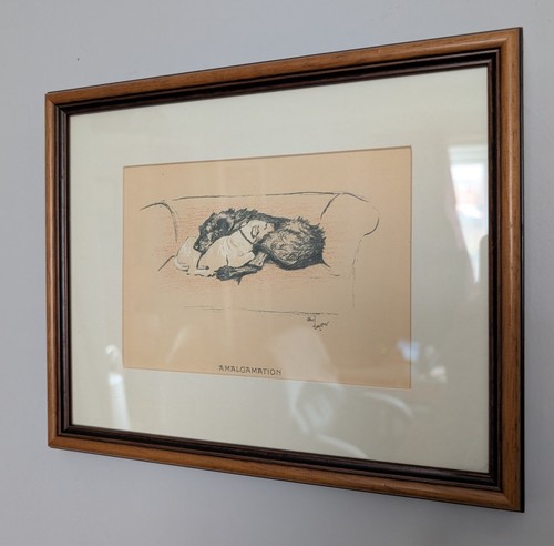Cecil aldin framed print - aldin,