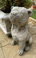 Staffordshire Bull Terrier
