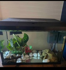 Juwel Primo 70 Aquarium