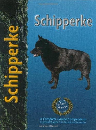 Schipperke pet love - (pet,