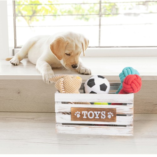 Paw print dog - toys, chest