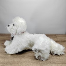 Bocchetta Bichon Frise Puppy