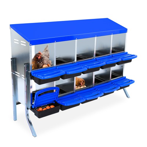 Compartment chicken - 6/8/10,