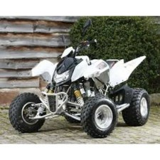 APACHE RLX 450 Quad Service