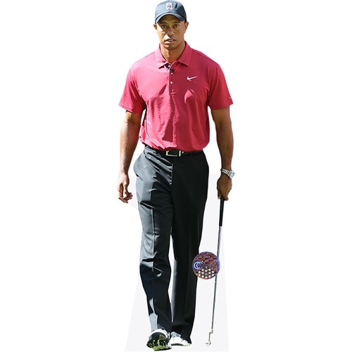 Tiger woods life - tiger, top)