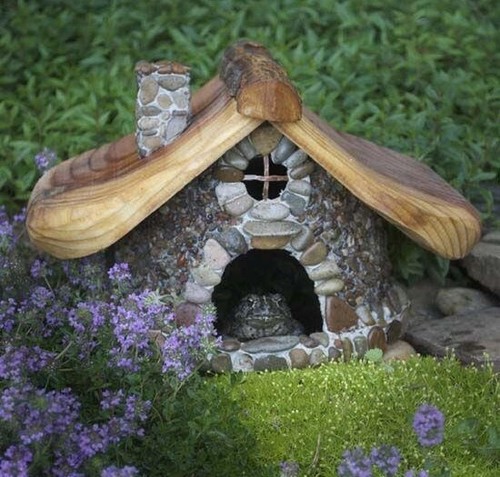 Frog reptile house - frog,