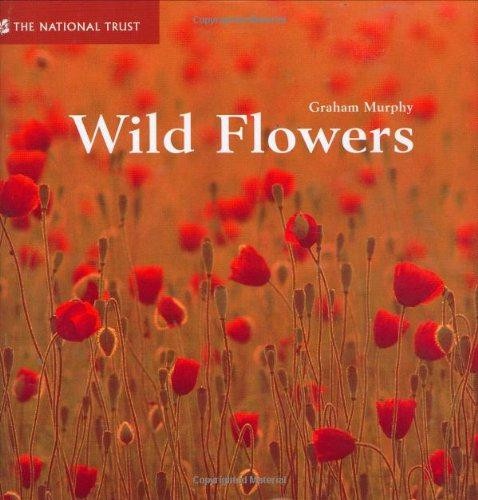 Wild flowers national trust - flowers,