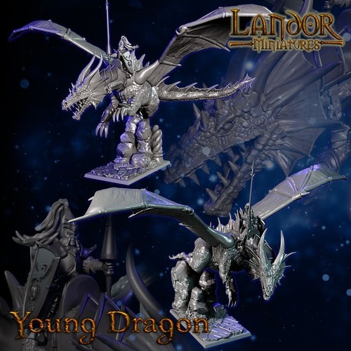 Prince dragon high elfs - prince, on