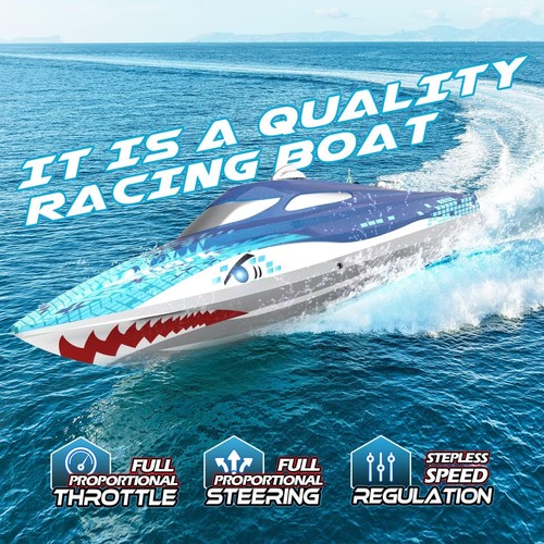 Shark brushless rc - rc, high