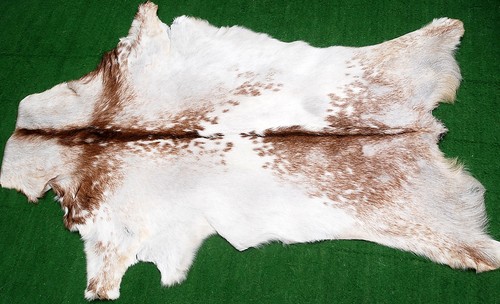 New goat hide rug - hide,
