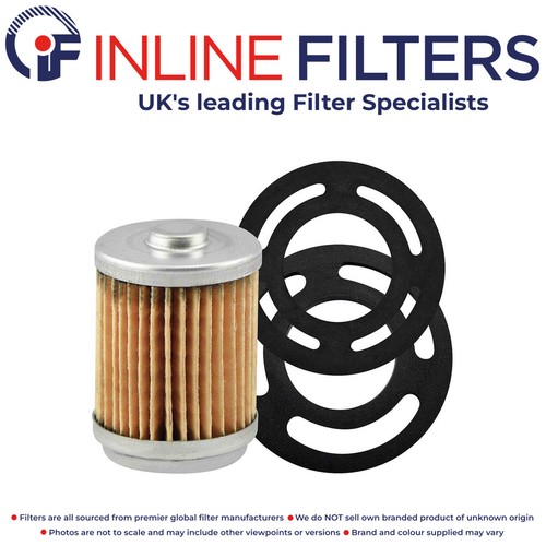 Fuel filter for bowser briggs - fuel,