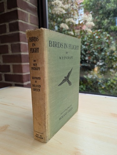 Birds flight pycraft 1922 - in,