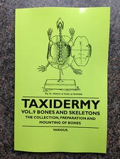 TAXIDERMY SKULLS BONES