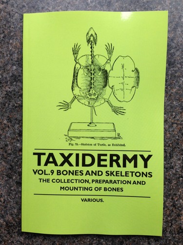Taxidermy skulls bones - taxidermy,