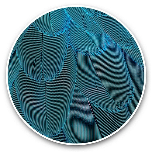 Vinyl stickers 25cm blue - -,