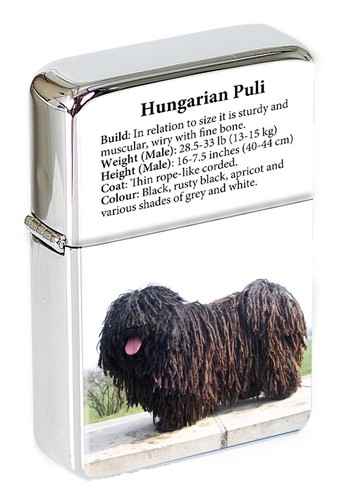Hungarian puli flip top - flip,