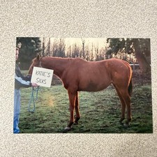 Horse & Person "Katie's Silks"