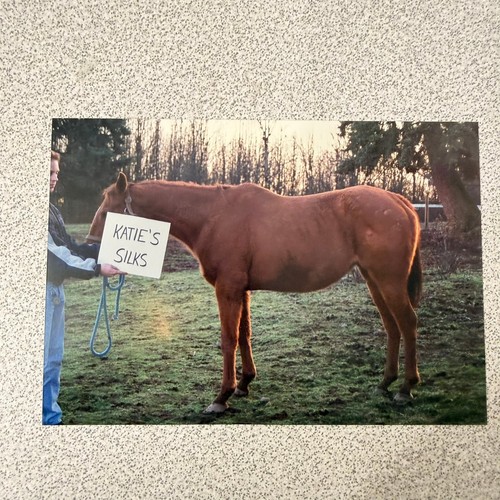 Horse person katie - &, "katie's