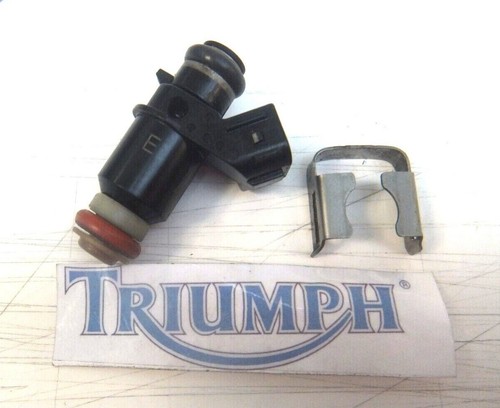 Triumph sprint 1050 - triumph,