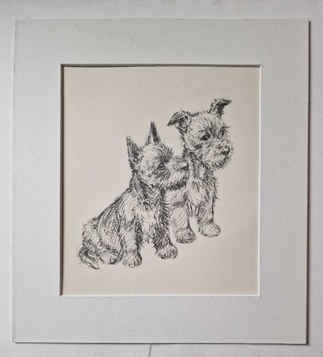 Barker scottish terrier - barker,