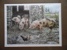 Farmyard Scene Gloucester Old