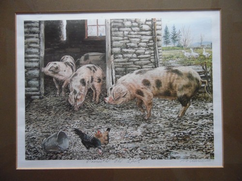 Farmyard scene gloucester old - gloucester,