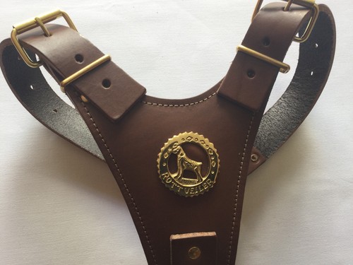 Brown rottweiler leather - brown,