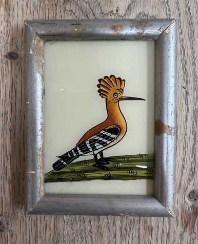 Hoopoe indian vintage reverse - vintage,