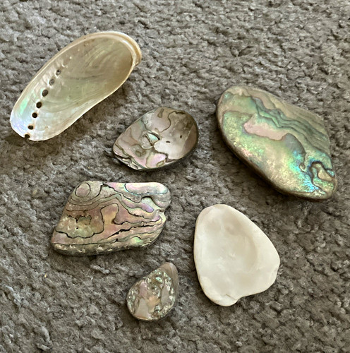 Mixed mother pearl - mixed, &