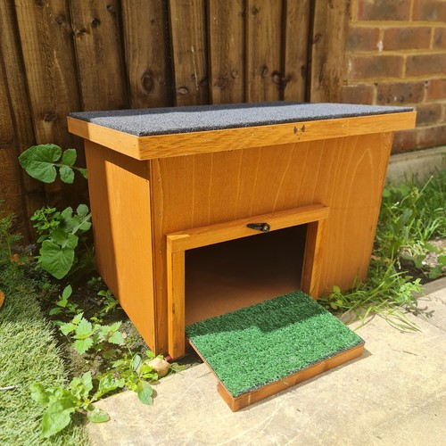 Small outdoor tortoise - outdoor, house