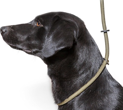 Dog field deluxe gundog slip - dog,