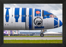 ANA R2-D2 B787 landing in
