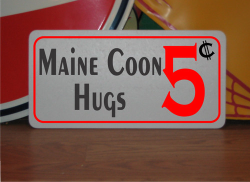 Maine coon hugs - coon, metal