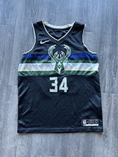 NBA Nike Milwaukee Bucks Giannis Antetokounmpo Jersey (L)