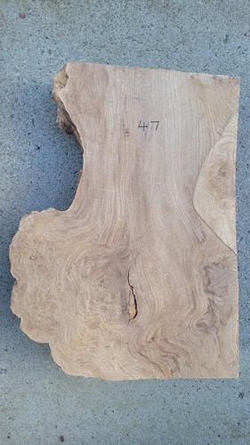 Timber scottish burr - burr, blank