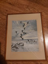 Peter Scott Signed Print And Book Of Observations Of Wildlife