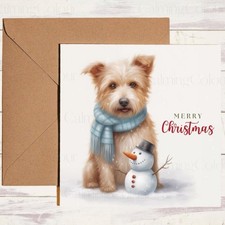 Australian Terrier with Scarf